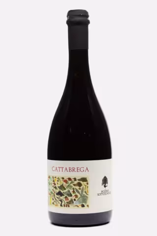 Bottle of Cattabrega
